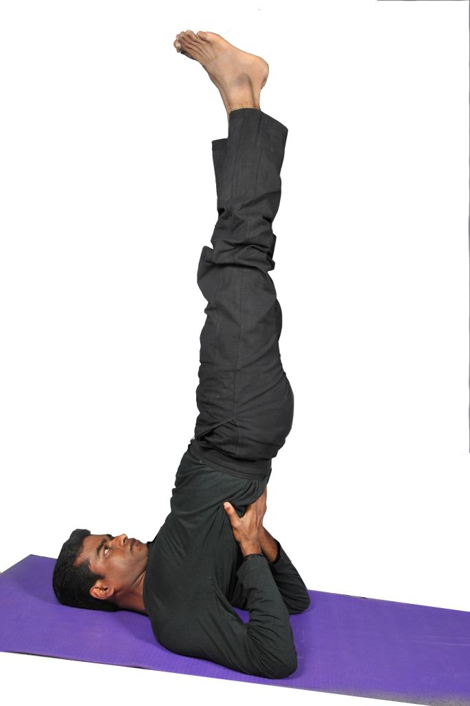 Tula Sarvangasana– Upper arm balancing shoulder stand - YOGEA | Innovative  Yoga