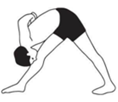 parsvottanasana