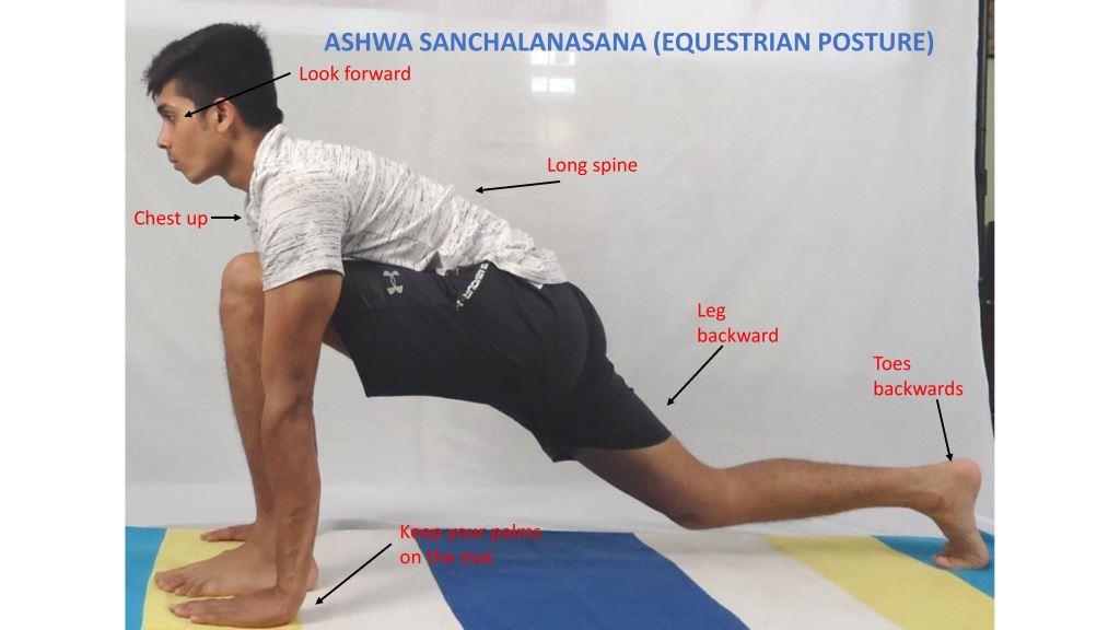 Day - 3 Yoga with URMI PANDYA | Ashwa Sanchalanasana (Equestrian Pose) -  YouTube