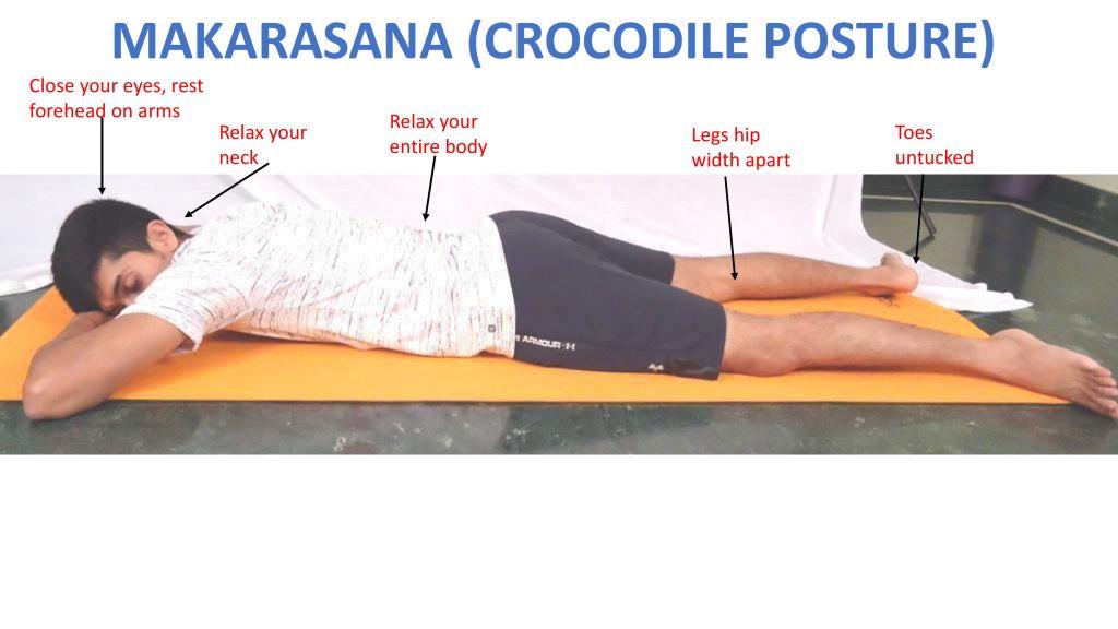makarasana – Traditional Yoga India