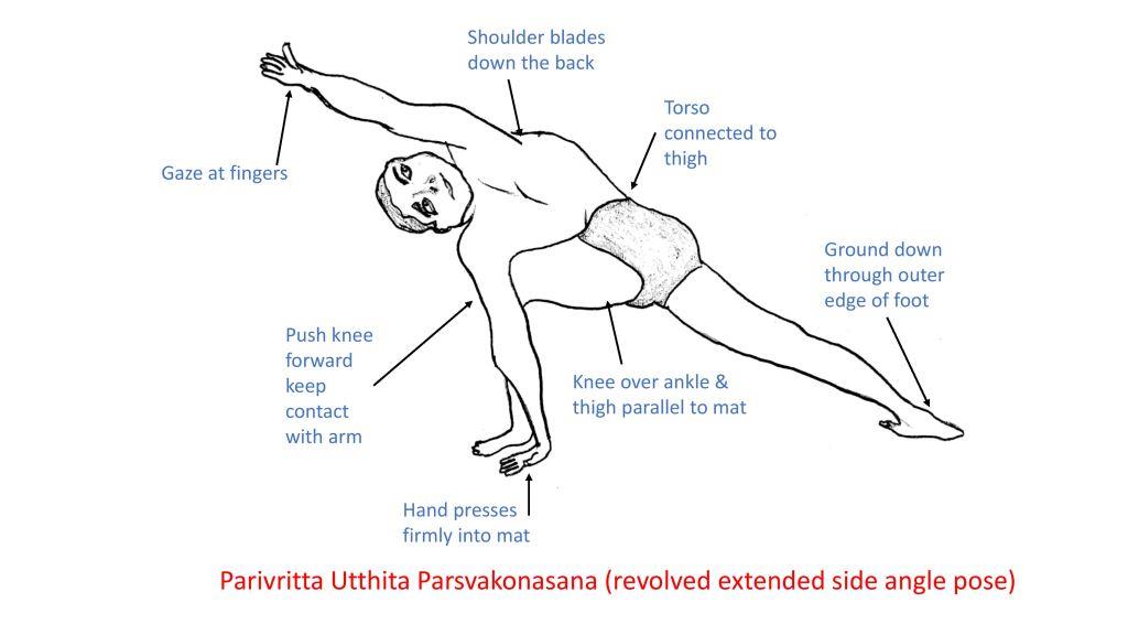 Utthita Parsva Konasana (Extended Side Angle Pose) - Yoga Vastu