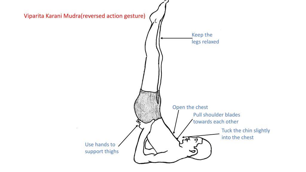 Viparita Karani Mudra(reversed action gesture) – Karuna Yoga Vidya