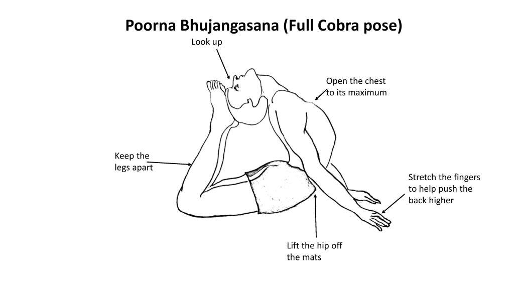 How To Do Cobra Pose II/ Sarpasana 2 | Exercise Video