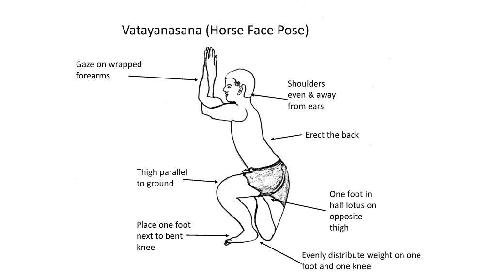 YOGA POSTURE #22: Horse Pose, Vatayanasana — Steemit