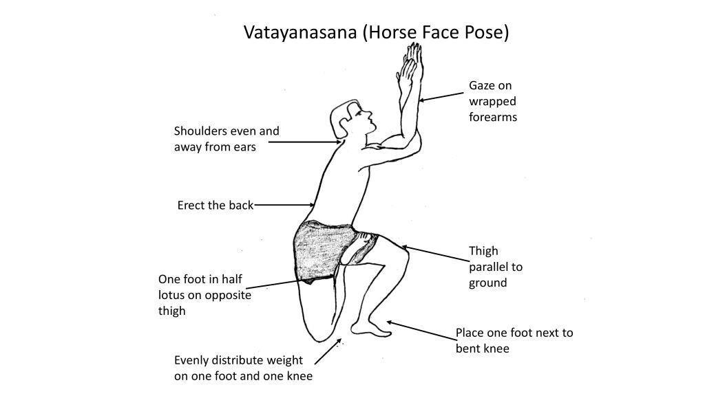 Vatayanasana: Meaning, How To Do, & Benefits - 7pranayama.com | Yoga facts,  Easy yoga workouts, Yoga education